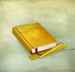 Schoolbook, old-style