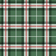 vector illlustration of green tartan fabric pattern