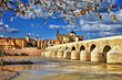 Cordoba, Spain . view with mosque and bridge