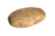 Potato