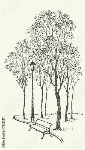 Vector landscape. Park bench near the lantern under trees