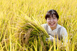 Foto: 稲刈り 稲刈り