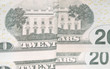 Twenty Dollar Bills