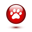 Paw on red button