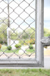 Photo: Edge of wire fence Edge of wire fence