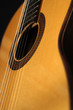 Meistergitarre