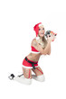 sexy frau als weihnachtsfrau mit high heels und geschenk