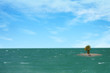 Palms on a small ocean island 