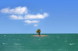 Palms on a small ocean island 