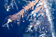 Eiskristalle 6