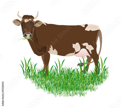 Vector: Dairy cow over white background.Vector illustration Dairy cow over white background.Vector illustration