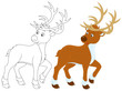 Reindeer