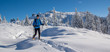 Schneeschuhwanderung in den Alpen