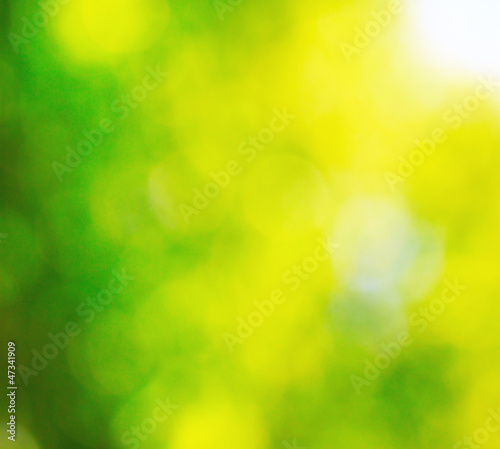 Photo: Sunny bokeh Sunny bokeh
