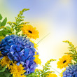 Bouquet from blue hydrangeas and yellow asters