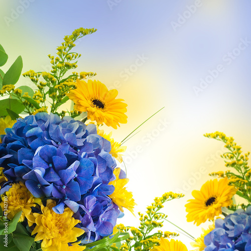 Photo: Bouquet from blue hydrangeas and yellow asters Bouquet from blue hydrangeas and yellow asters
