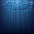 underwater scene