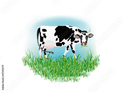 Vector: Dairy cow over white background.Vector illustration Dairy cow over white background.Vector illustration