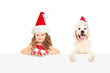 Small girl and dog wearing santa hats and posing behind a panel