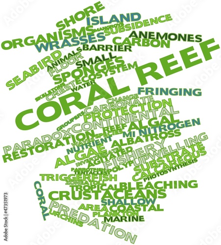 Illustration: Word cloud for Coral reef Word cloud for Coral reef