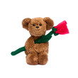 Rose zum Valentinstag