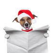 Christmas  dog