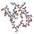 Brain or B-type natriuretic peptide (BNP) molecule, chemical str