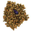 Cytochrome p450 protein, chemical structure.