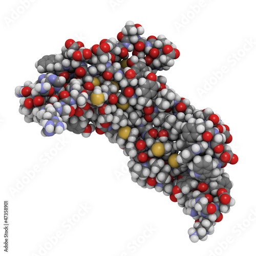 Illustration: Myostatin (growth differentiation factor 8, GDF-8) molecule, che Myostatin (growth differentiation factor 8, GDF-8) molecule, che