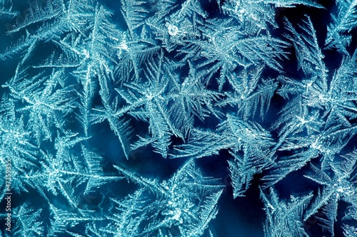 Photo: Frost Frost