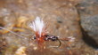 Dry Flyfishing