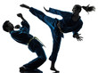 Foto: karate vietvodao martial arts man woman couple silhouette karate vietvodao martial arts man woman couple silhouette