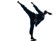 Foto: karate vietvodao martial arts woman silhouette karate vietvodao martial arts woman silhouette