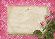Card for congratulation or invitation with bunch of pink roseske