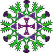 floral rosette with thistles and Celtic knots