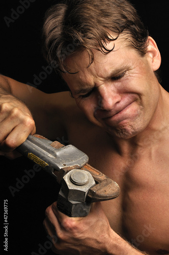 Photo: Tough nut Tough nut