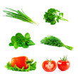 Set of fresh vegetables