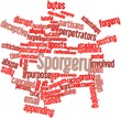 Word cloud for Sporgery