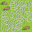 Hedgehogs Maze Game