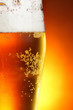 Foto: Beer Beer