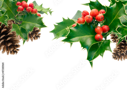 Photo: Holly Holly
