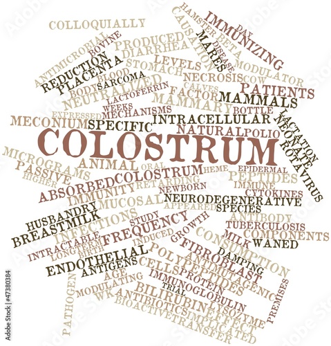 Illustration: Word cloud for Colostrum Word cloud for Colostrum