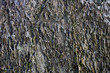 texture