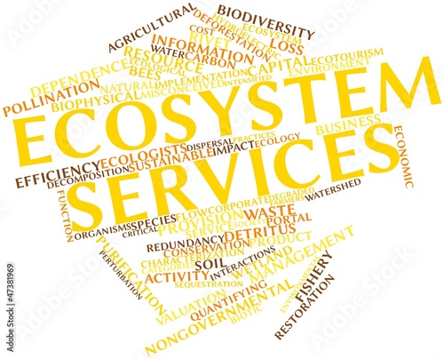 Illustration: Word cloud for Ecosystem services Word cloud for Ecosystem services