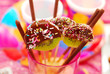 kiwi lollipops poured chocolate on party for children