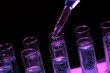 test-tubes with liquid on black background