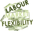Word cloud for Labour market flexibility
