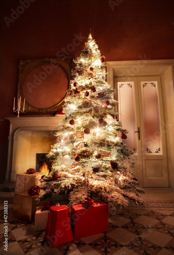 Photo: Christmas Tree Christmas Tree