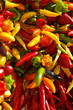 Chilis auf dem Markt