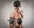 Exercising the Muscles